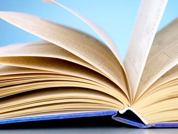 clothespin tricks, book