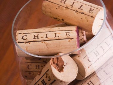 wine quiz