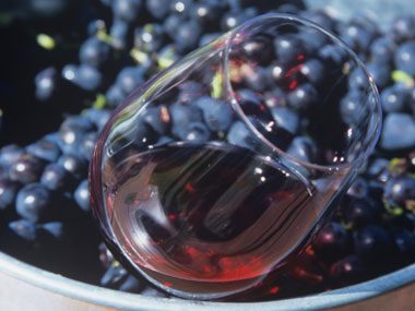 wine quiz