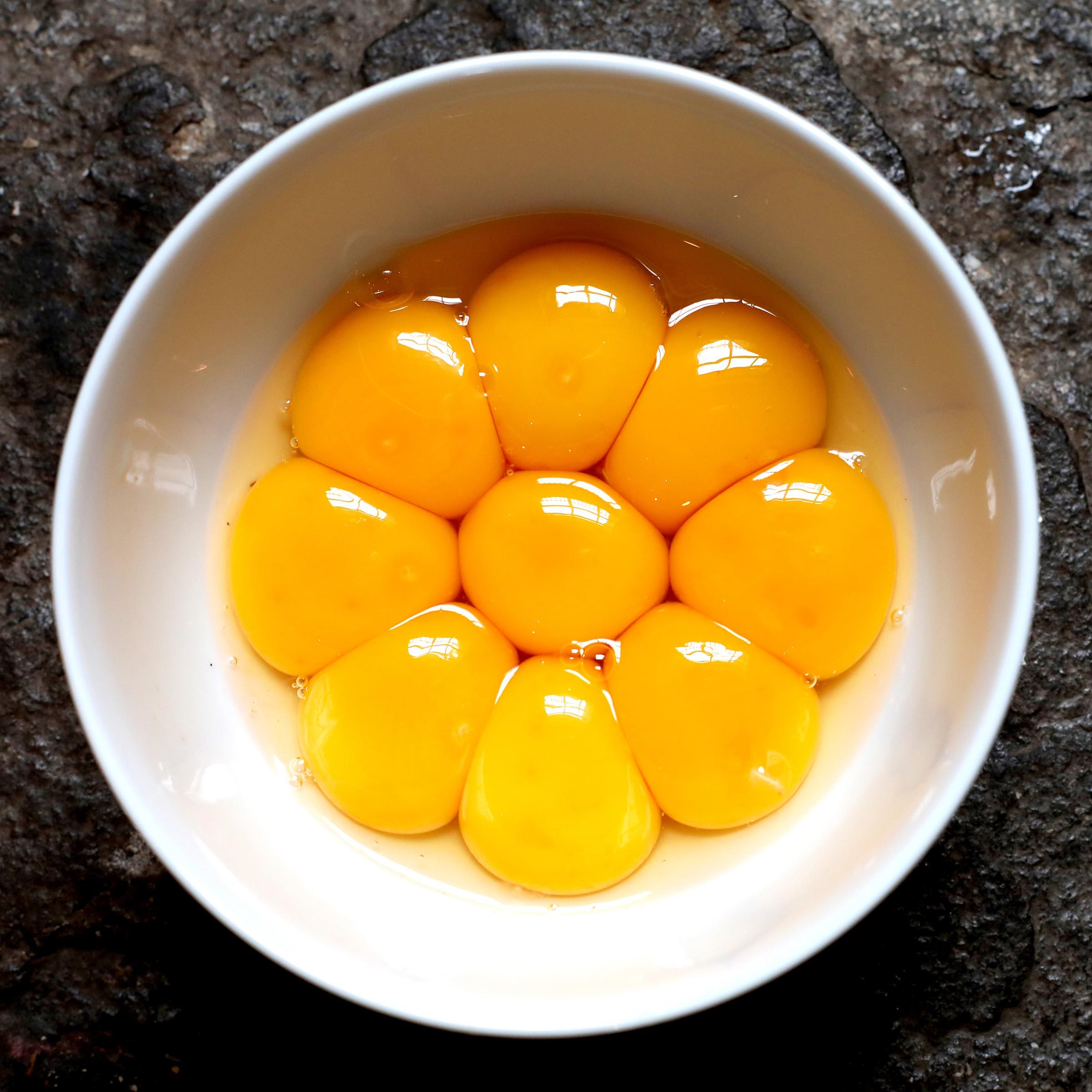 egg yolks