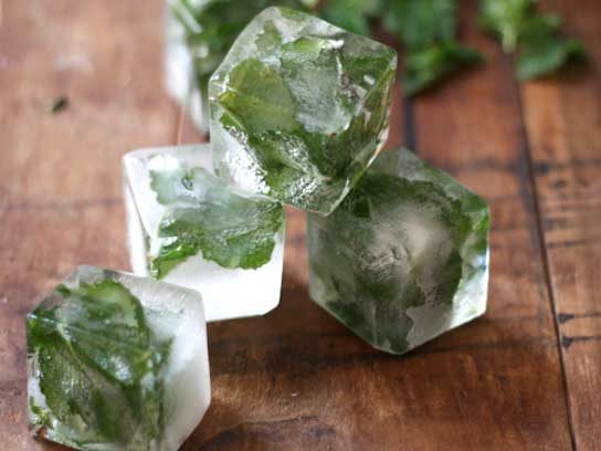 ice cubes mint