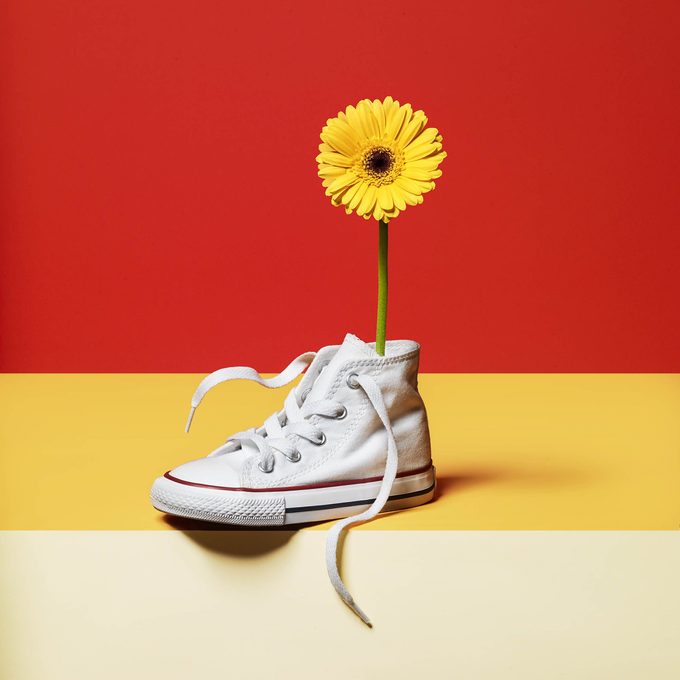 flower in a sneaker on red and yellow background