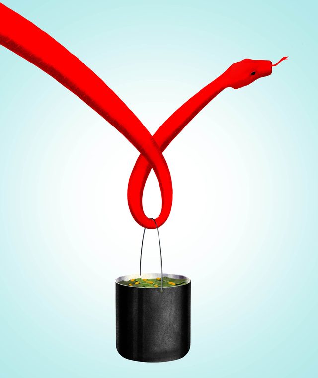 december january 2016 charity scams snake