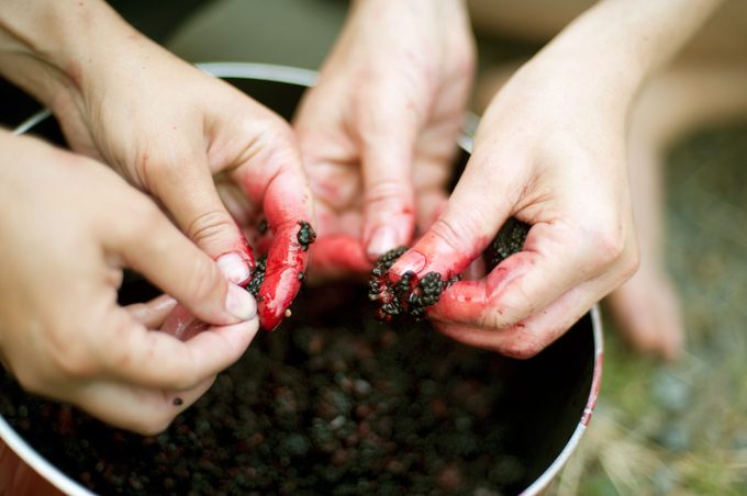 04-34-reasons-to-load-up-on-lemons-berry-stains