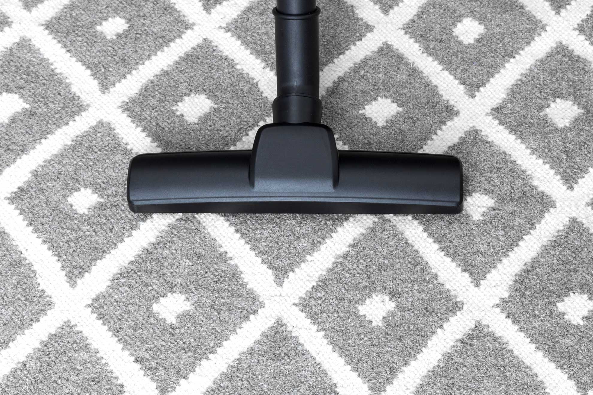 vacuum cleaner fleas