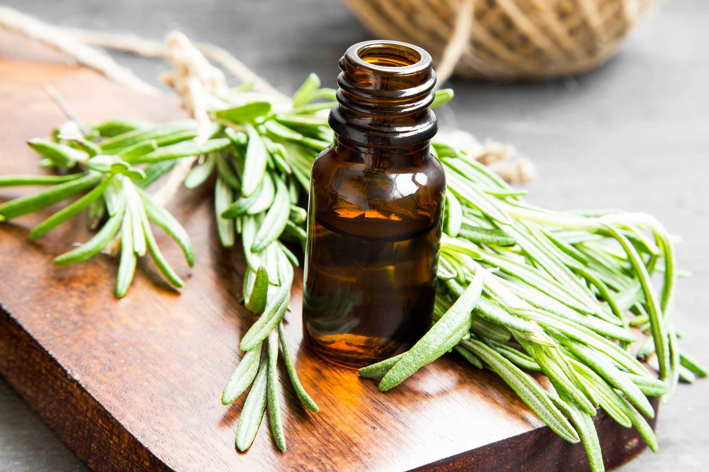 natural flea remedies rosemary