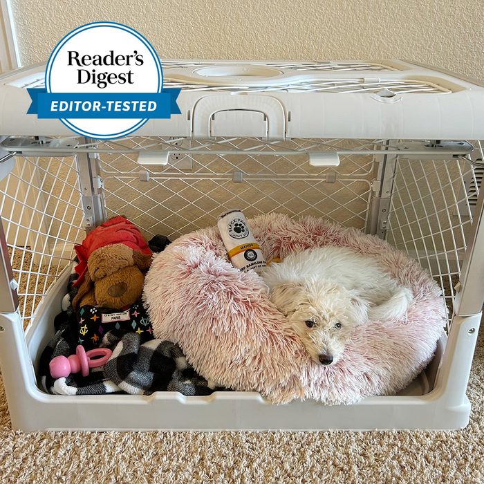 Dog Crate