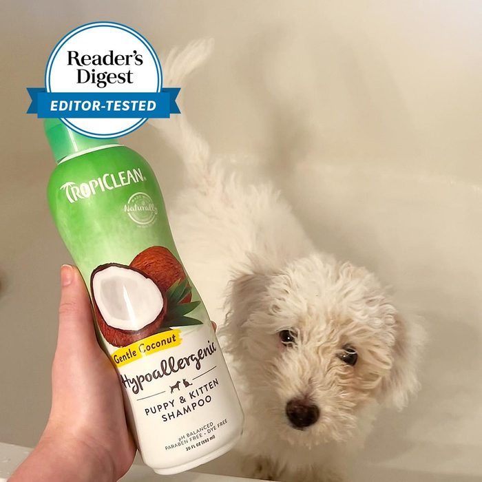 Puppy Shampoo