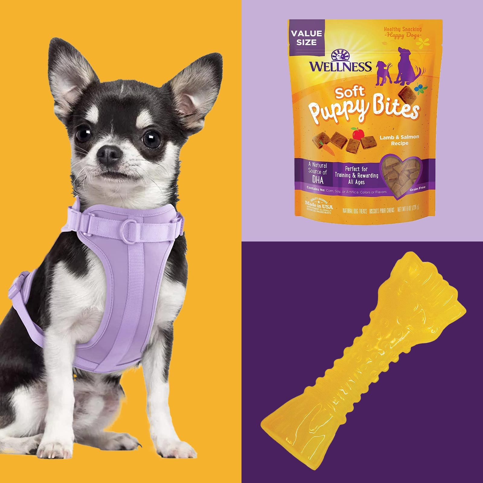 New Puppy Parent Supplies