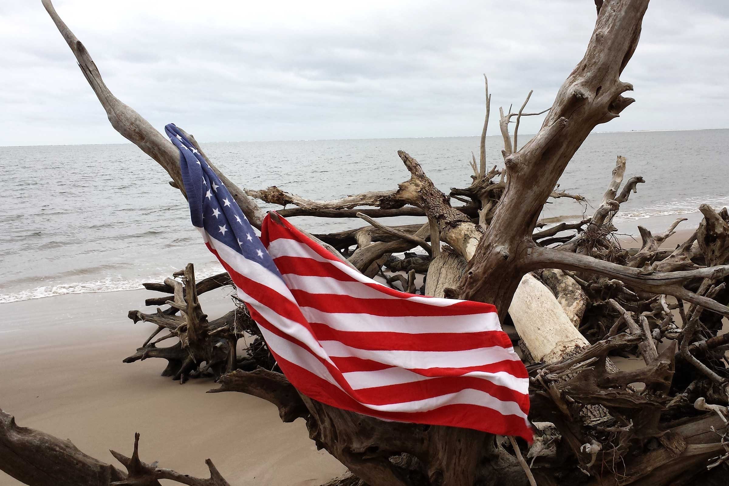 an american flag draped on some driftwood on a beach in florida