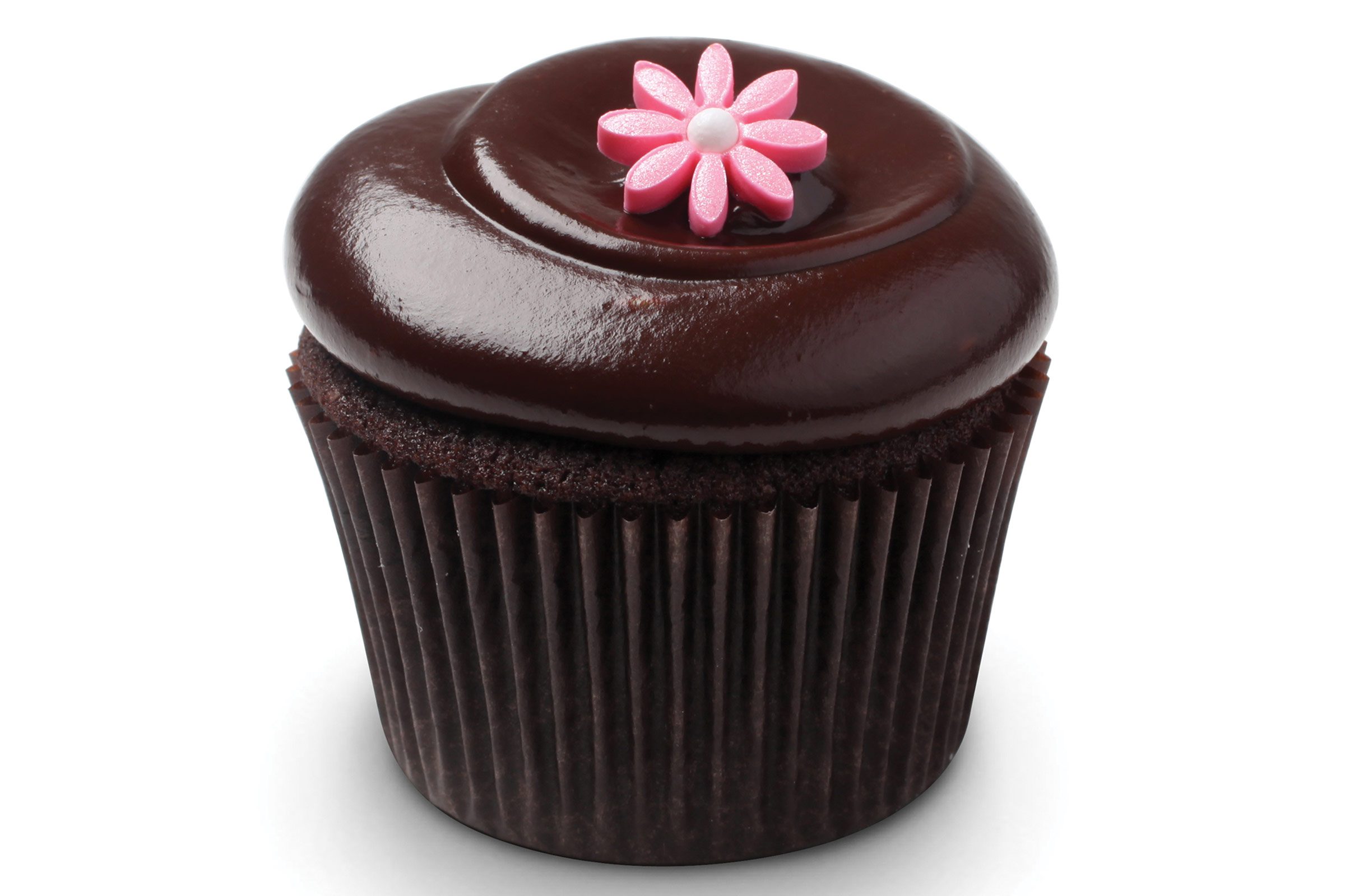 03-cupcake-personality-chocolate-squared