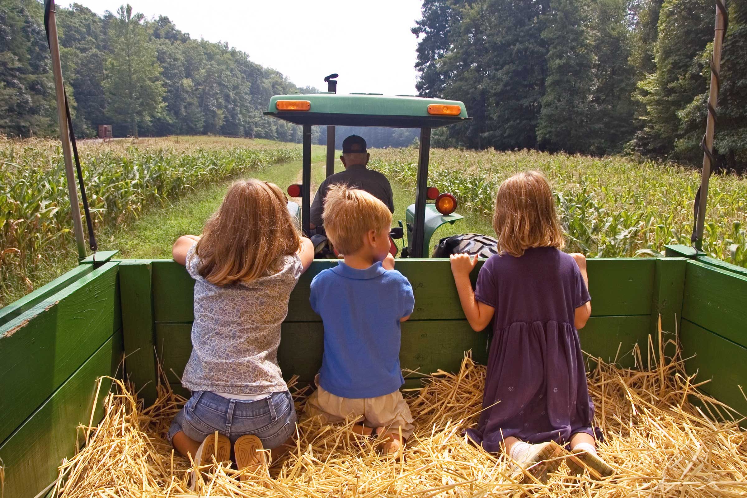 kids enjoying hayride 