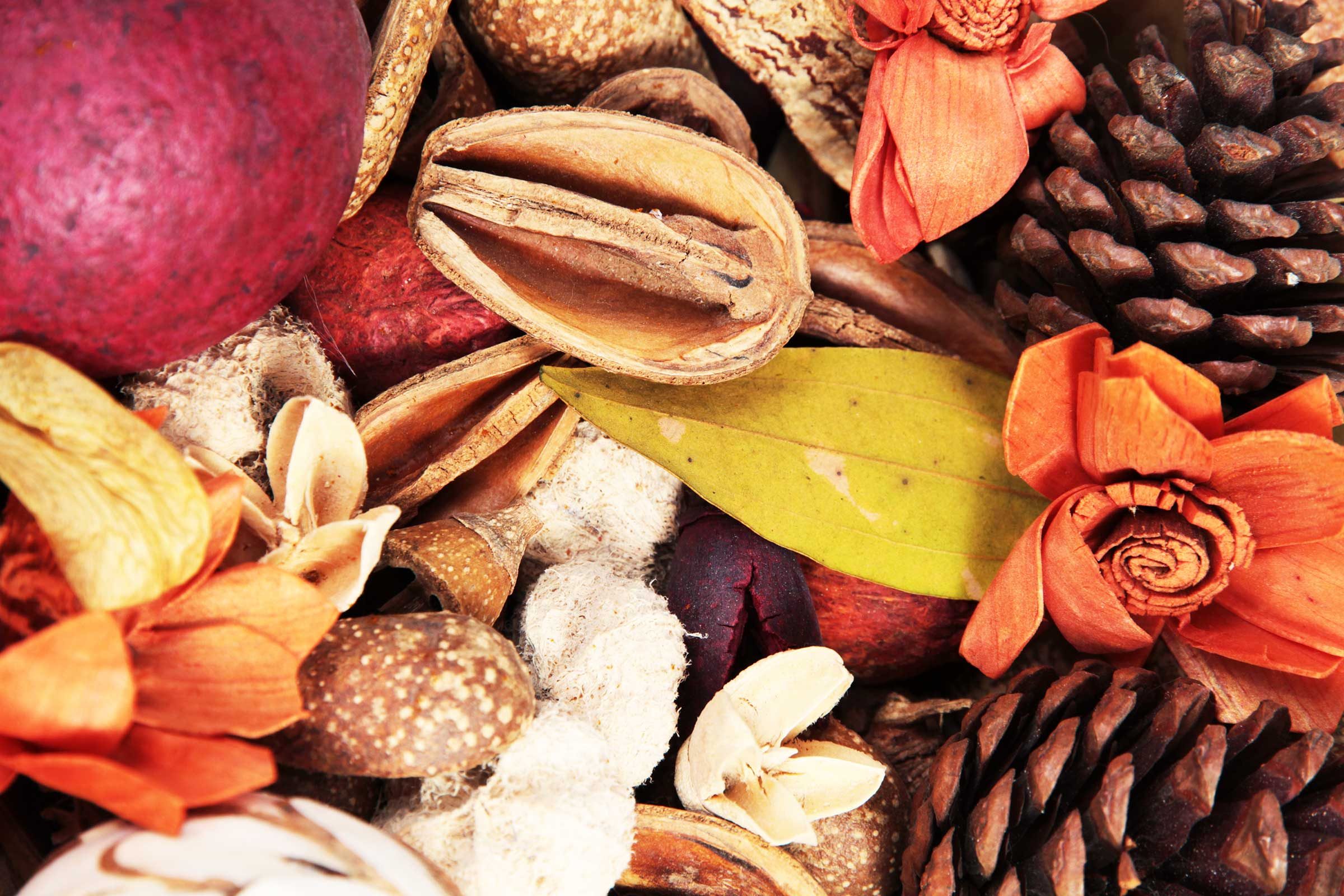 fall potpurri 