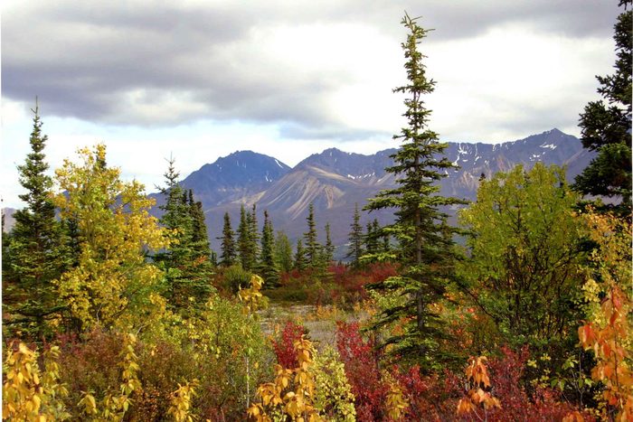 fall in alaska