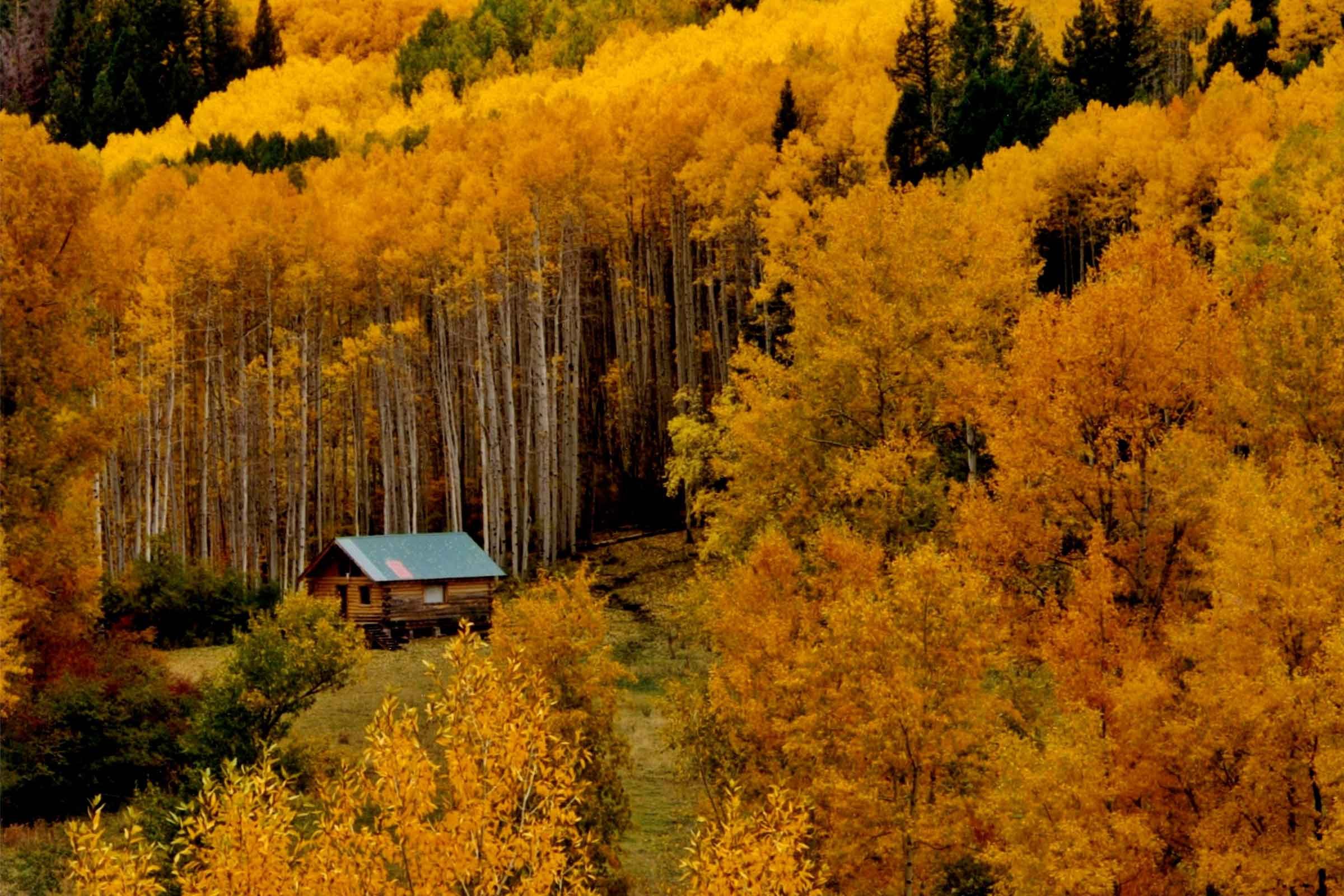 fall in colorado