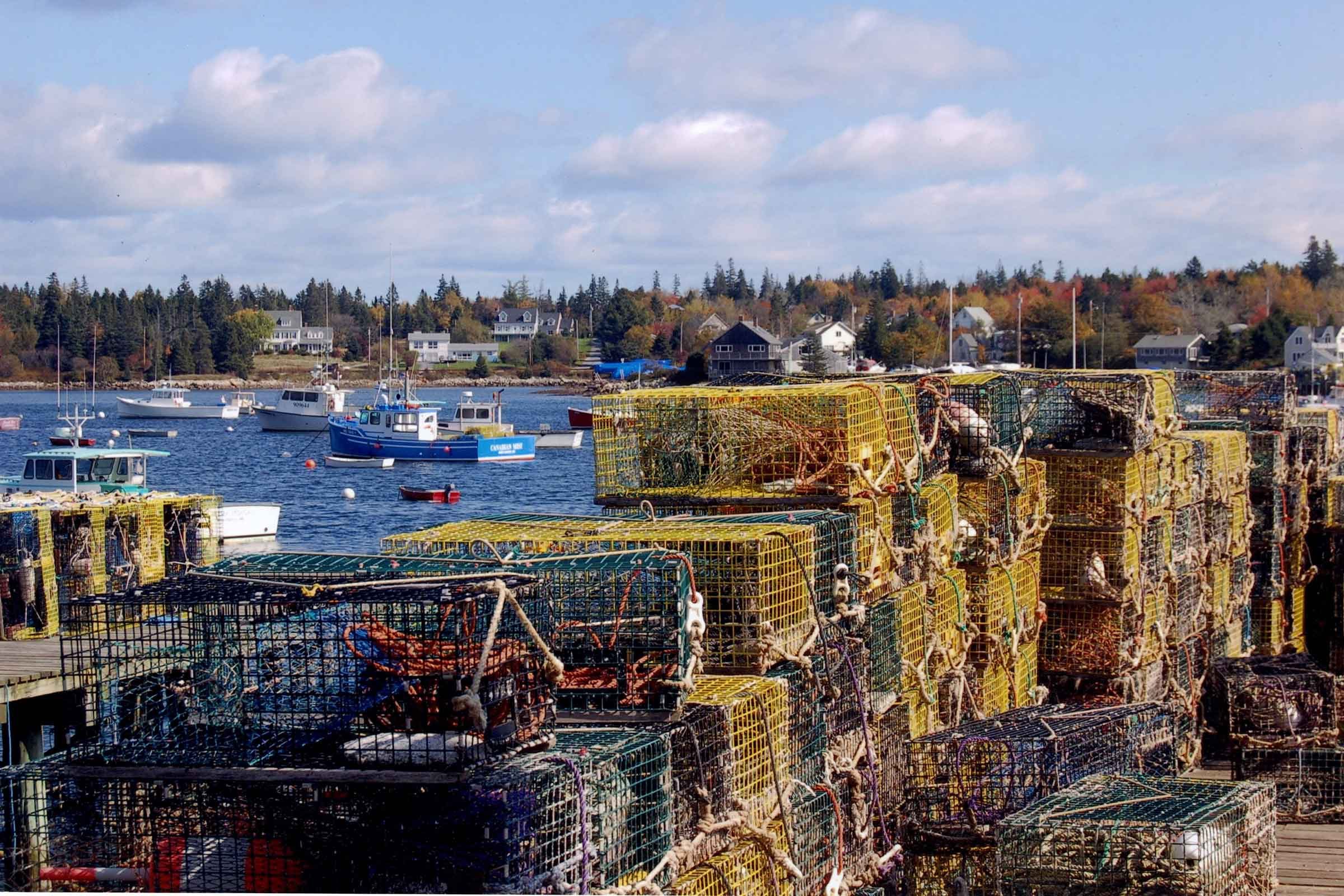 fall-photos-Maine_Isaacs