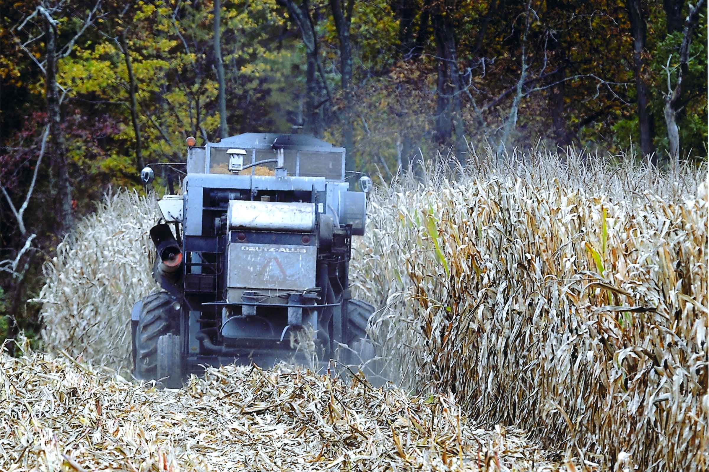 fall-photos-Maryland_Bezayiff