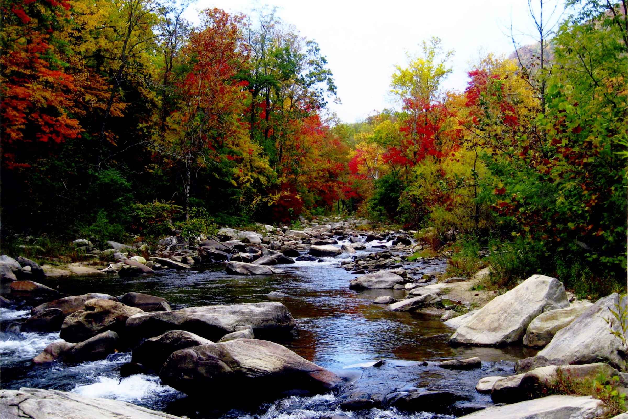 fall in North Carolina