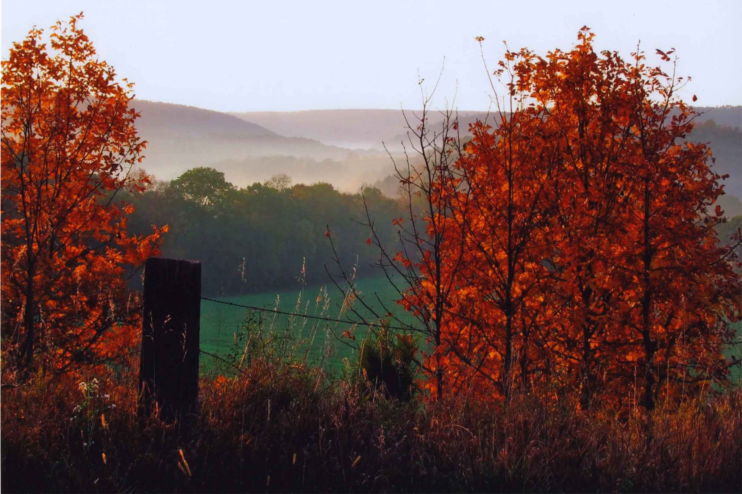 fall in Pennsylvania