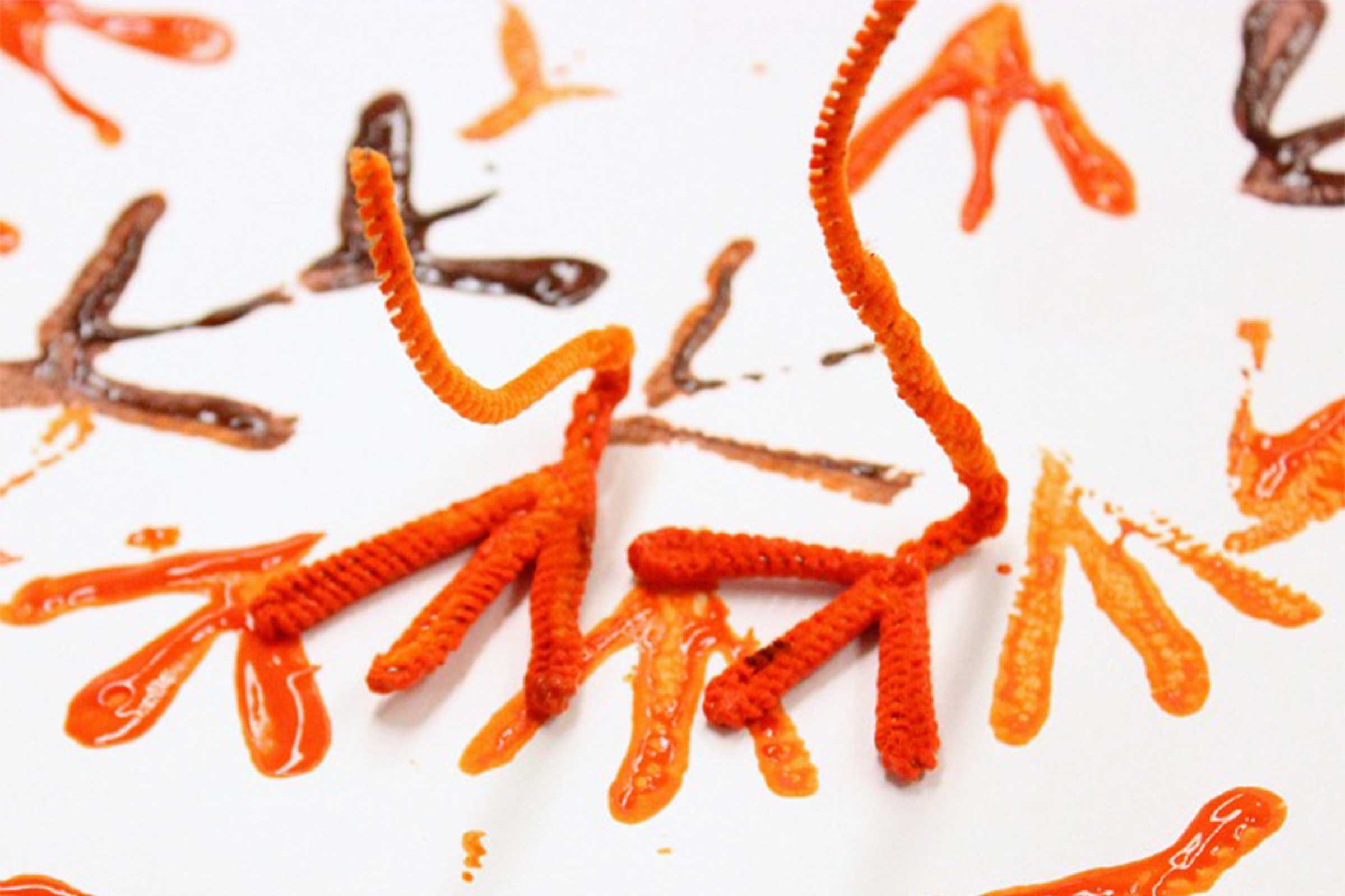 painted turkey footprint craft for kids on thanksgiving