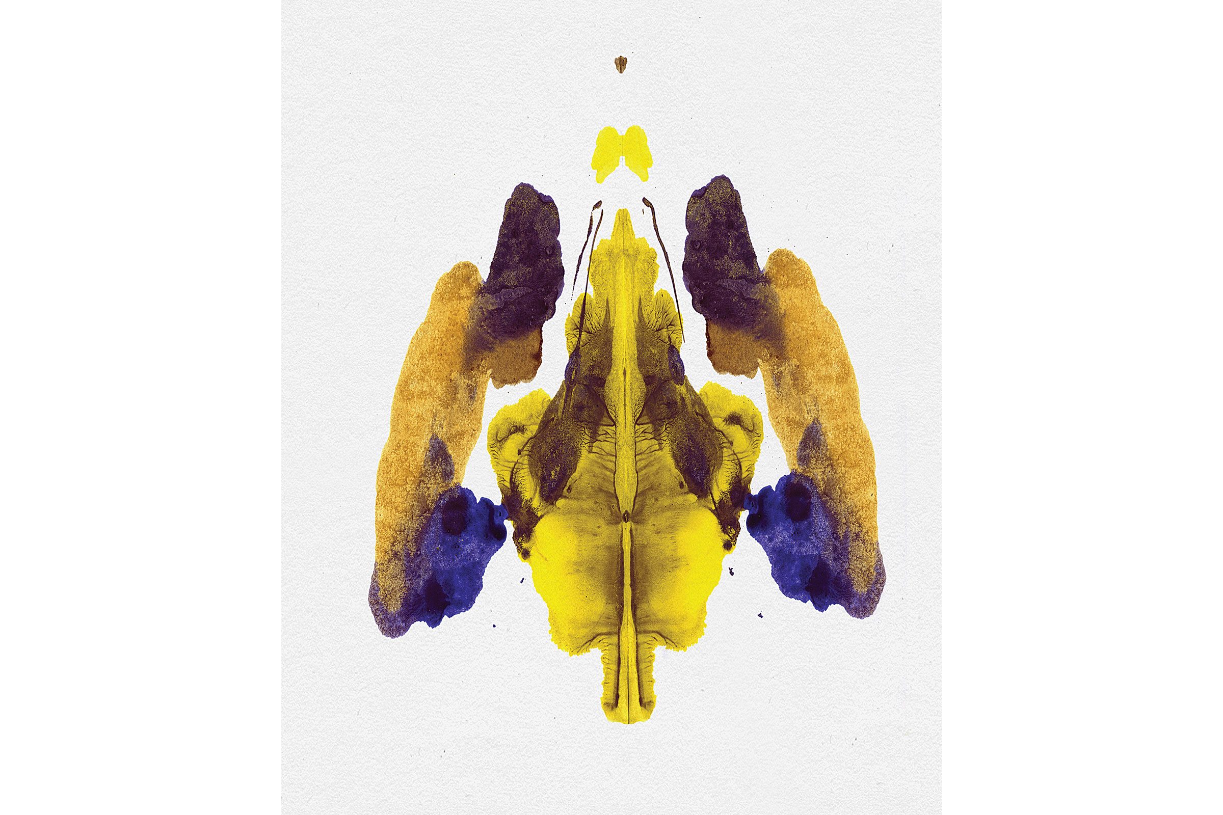 inkblot-personality-test