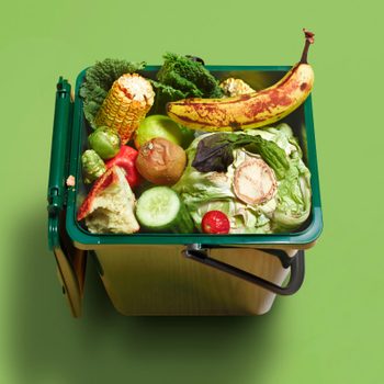 garbage can filled with food
