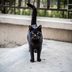 This Is the Real Reason You Believe in Superstitionsâ€”Says Science