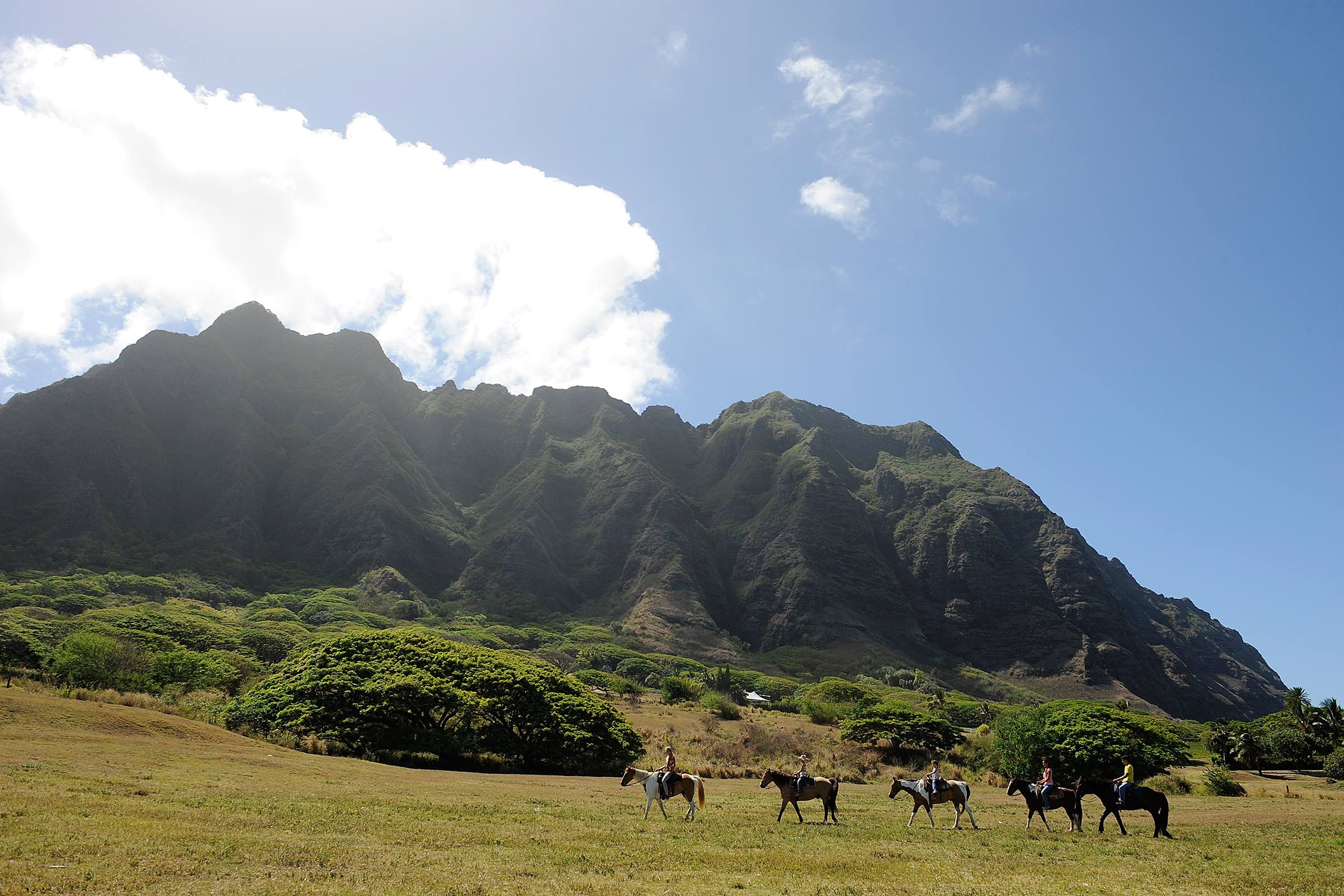 07-Zen-Lessons-We-Can-All-Learn-From-the-Hawaiian-Language