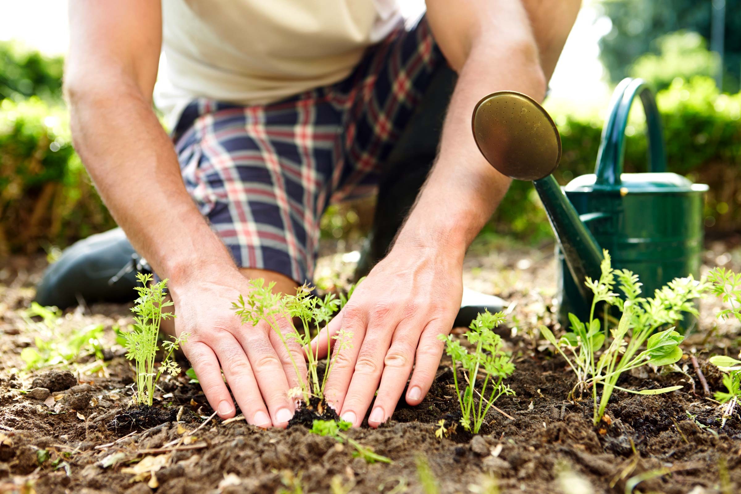 gardening