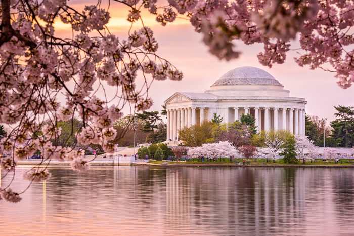 Washington, DC at the Tidal Basin and Jefferson Memorial during spring.