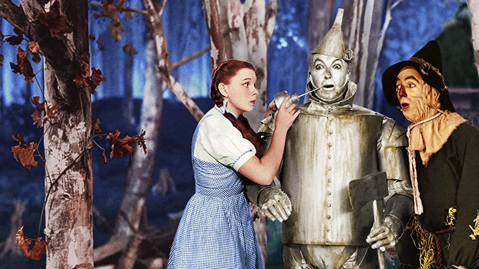 Wizard Of Oz Via Amazon
