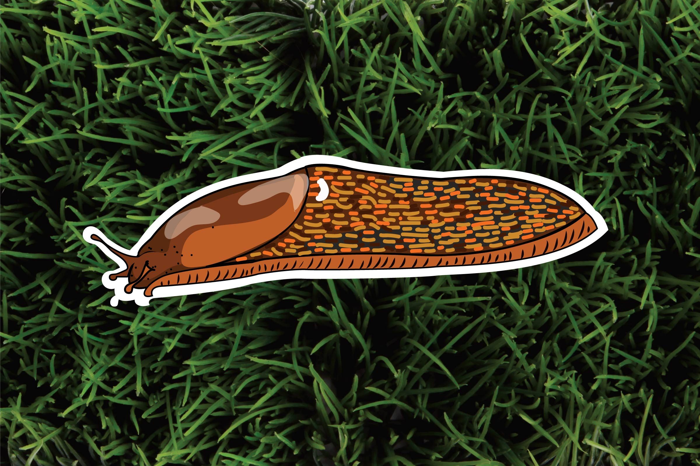 The-6-Most-Pesky-Garden-Pests-and-How-to-Get-Rid-of-Them-Naturally