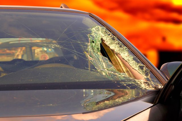 Heartwarming-True-Stories-That-Will-Give-You-All-the-Feels