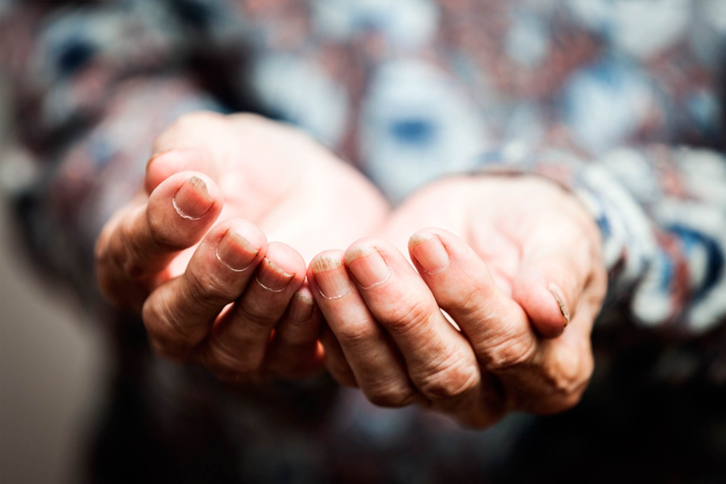 Heartwarming-True-Stories-That-Will-Give-You-All-the-Feels