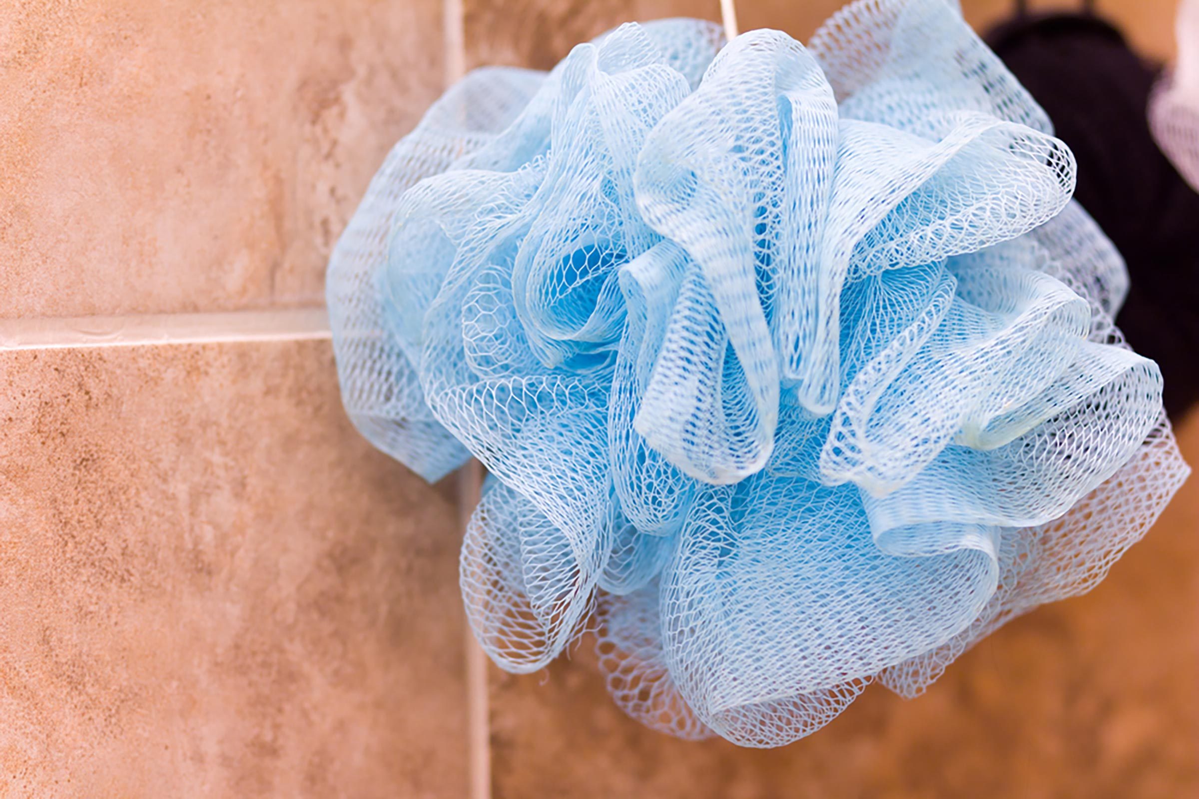 loofah