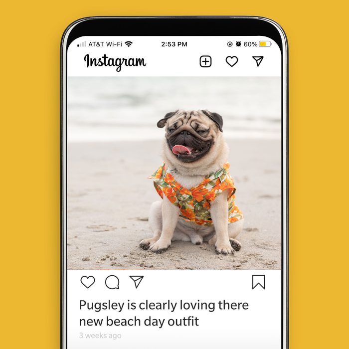 Social Media Moves That Could Completely Sabotage Your Career Bad Grammar Instagram Getty Images 2