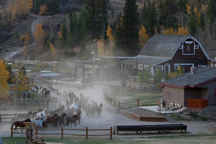 horses running by C Lazy U Ranch 2