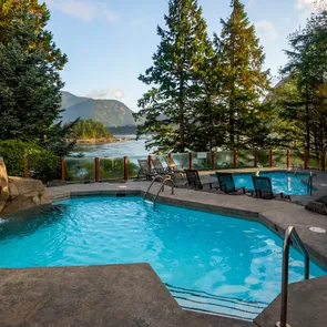 pool surrounded by palm trees and Mountain View at Sonora Resort