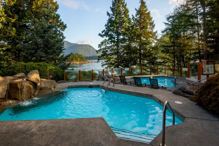 pool surrounded by palm trees and Mountain View at Sonora Resort