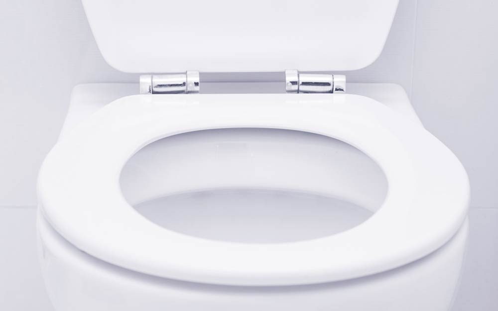 Can You Get Sick from Toilet Seats?