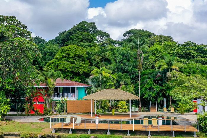 tropical forest with small hut like hotel at Tortuga Lodge Gardens