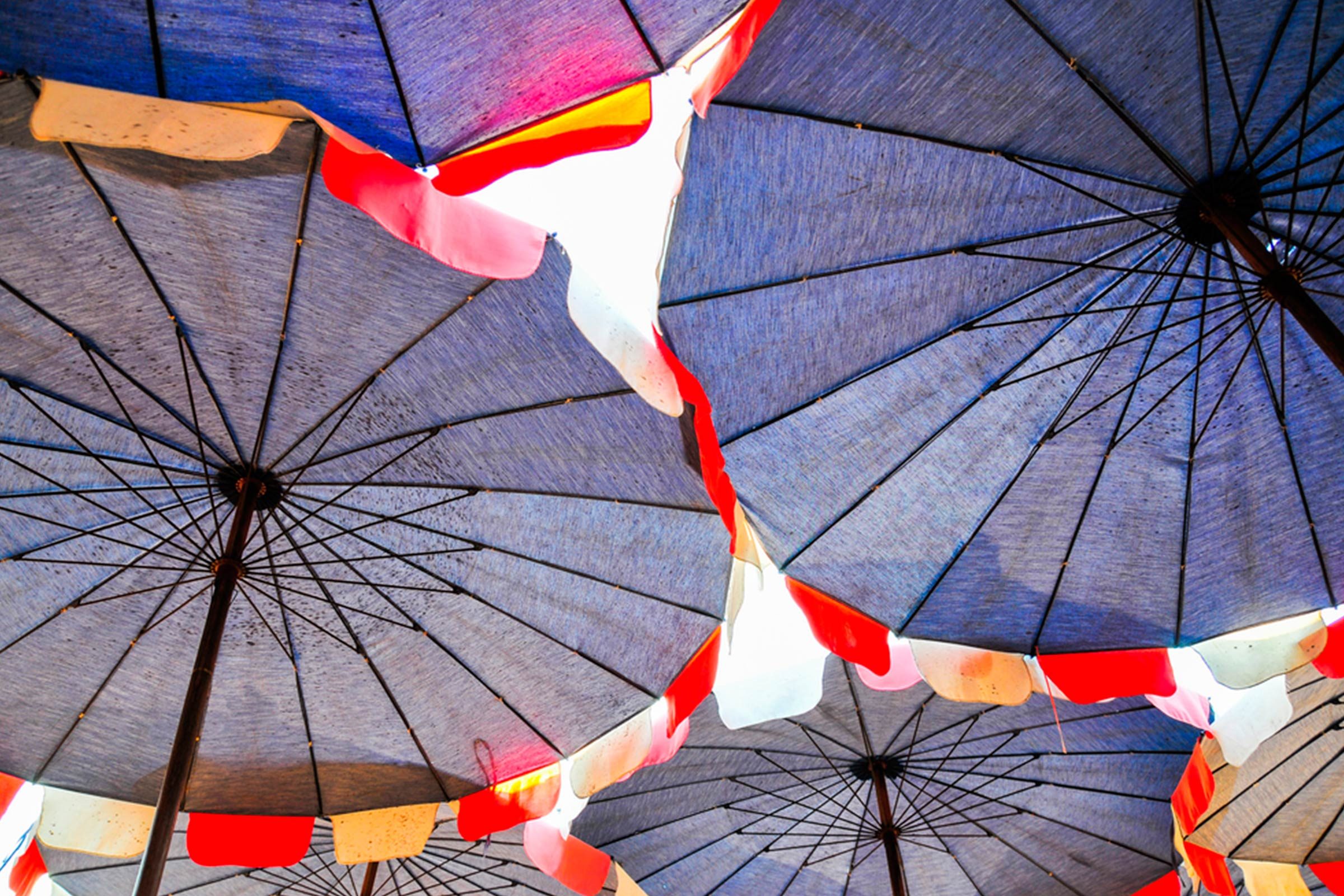 Party-Planning-Tips-to-Throw-Your-Best-Summer-Fiesta