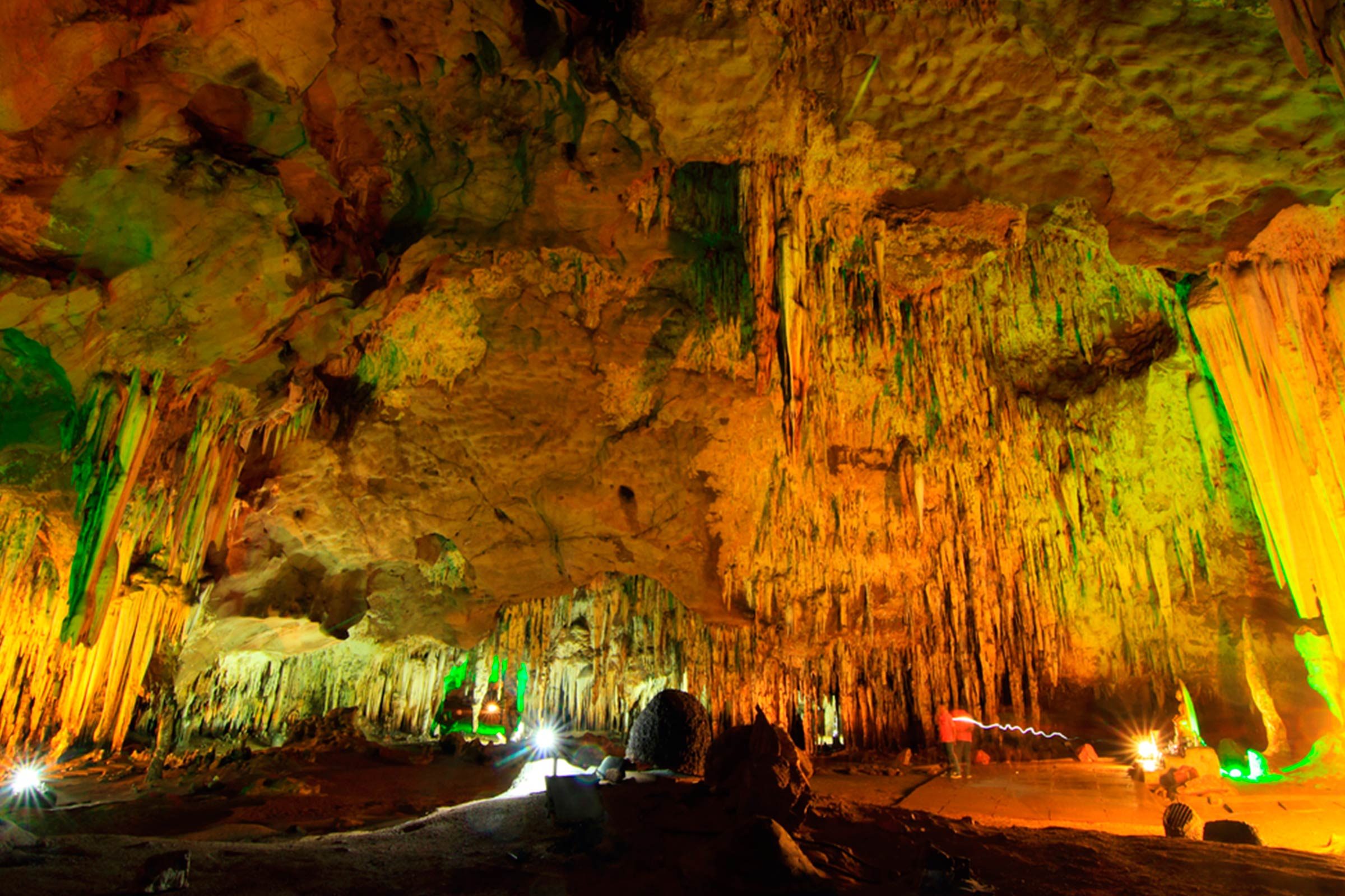 Amazing-Pet-Friendly-National-Parks-To-Visit-This-Summer-with-Your-Dog