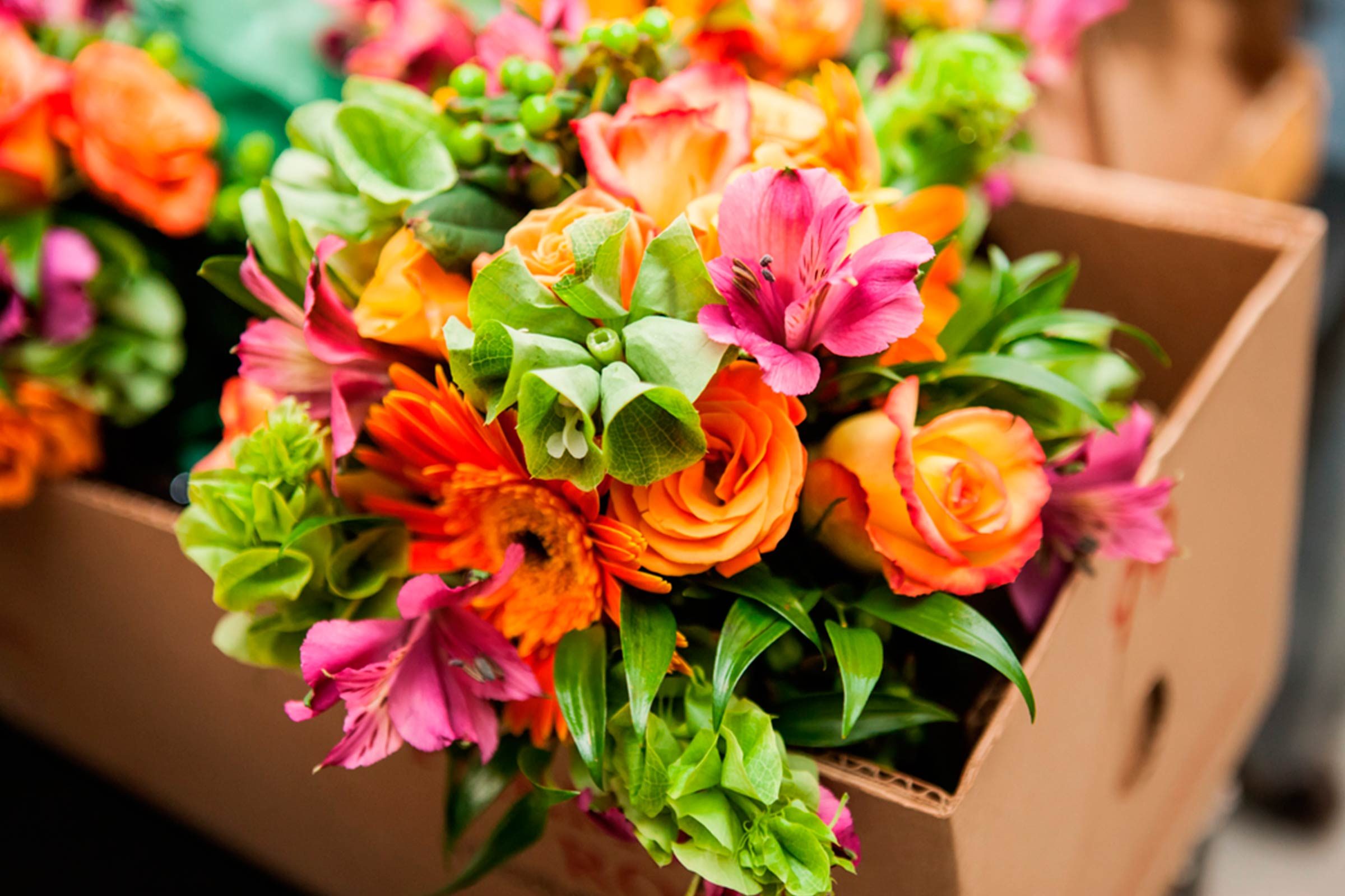 Party-Planning-Tips-to-Throw-Your-Best-Summer-Fiesta