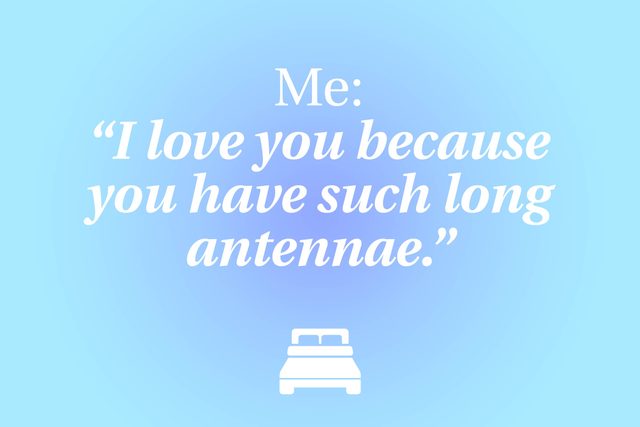 04-The-19-Funniest-Things-People-Said-in-Their-Sleep-275455670-vectorchef