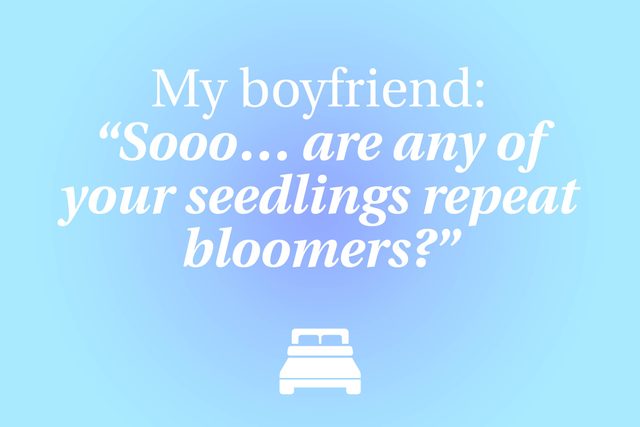 12-The-19-Funniest-Things-People-Said-in-Their-Sleep-275455670-vectorchef