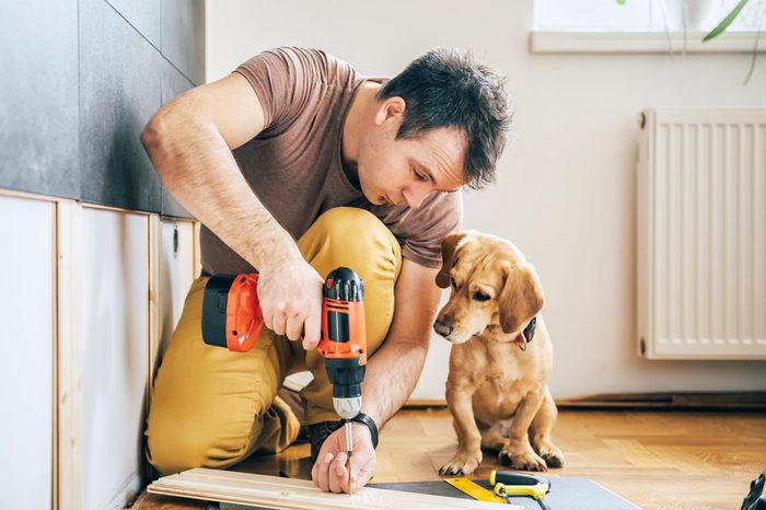 Man doing renovation work at home together with his small yellow dog