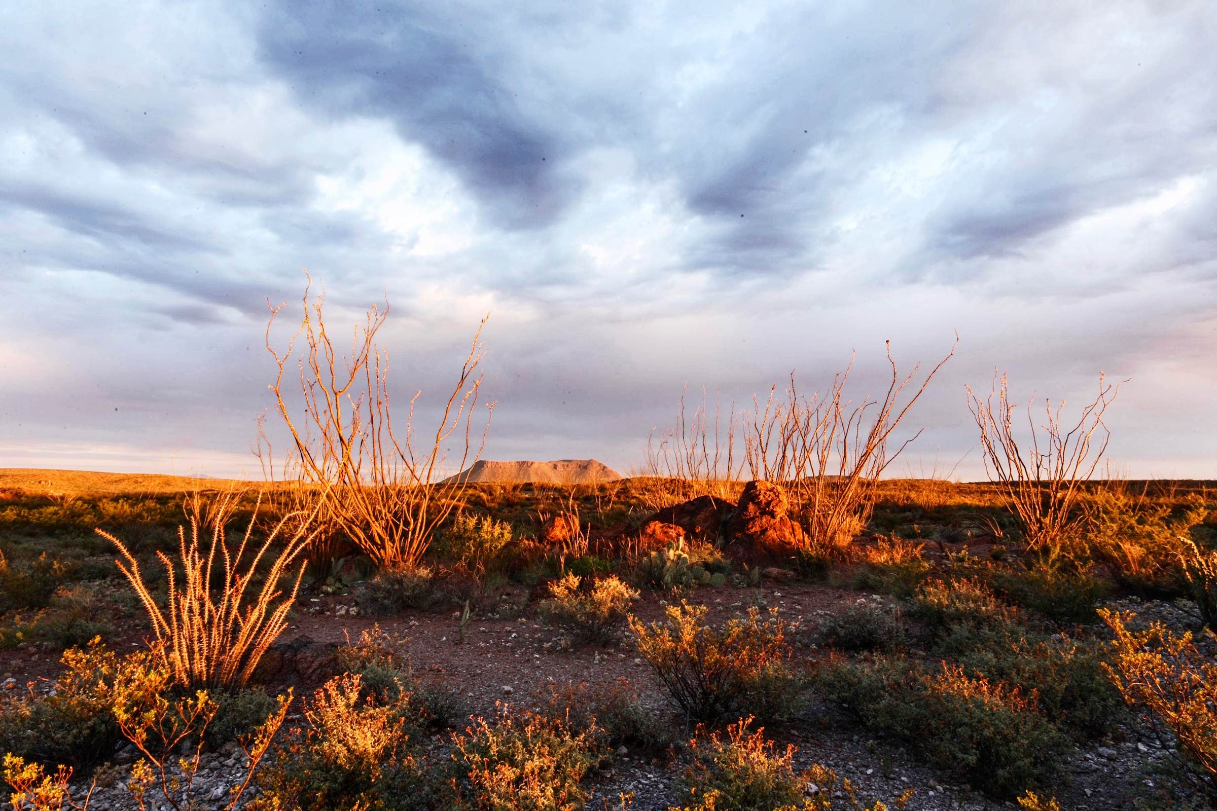 Jul-Aug-FEA-Lost-Big-Bend-Earl-Nottingham,-C-Texas-Parks-and-Wildlife-Department