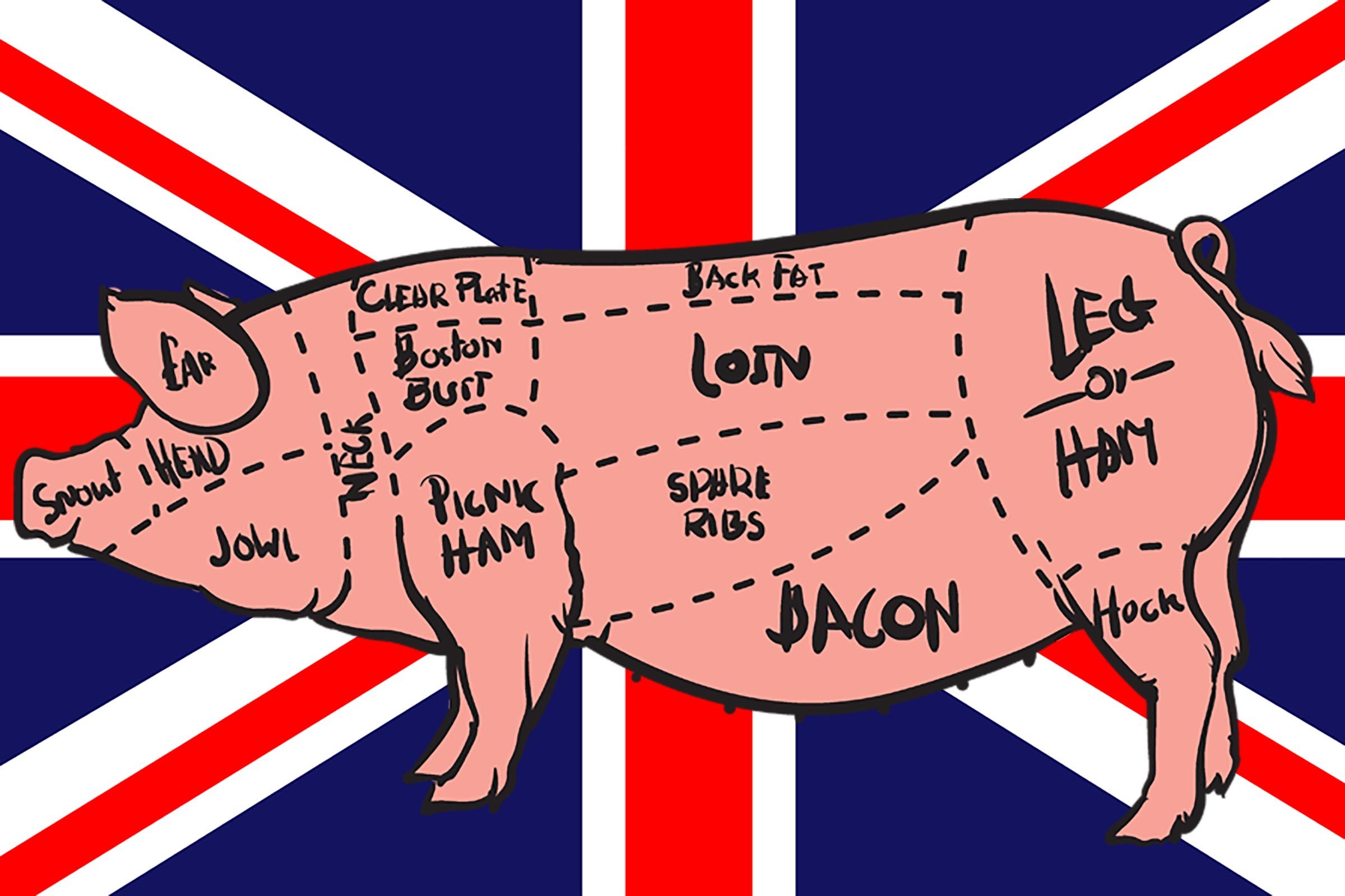 britishpig