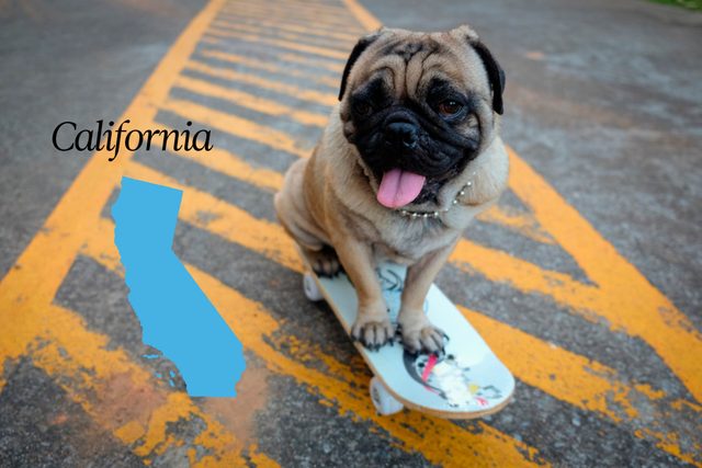 World-Records-in-Every-State-That-Will-Absolutely-Blow-Your-Mind